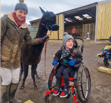 Image for Legal Advisors